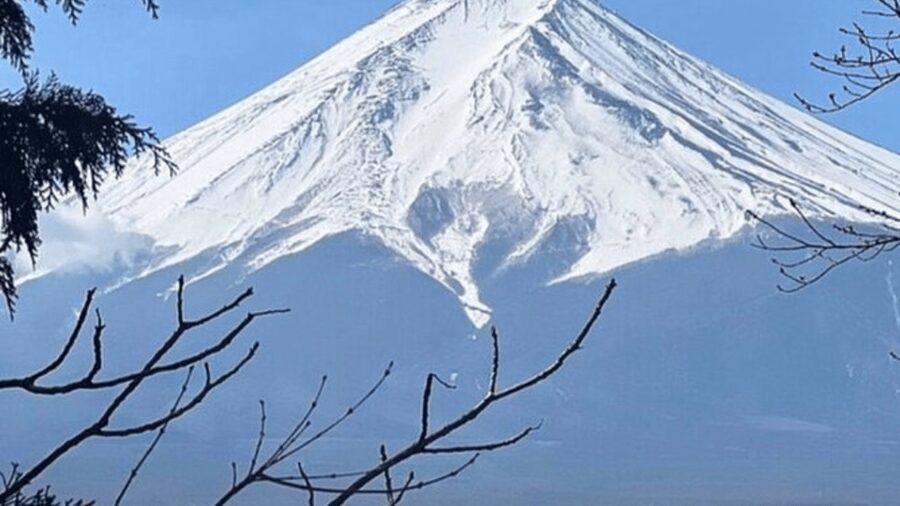 Mount fuji and Hakone full day private tour with English gui - Price and logistics: is $340 per group up to 6 a good deal?