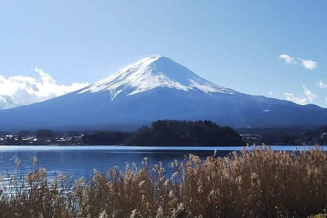 Mount Fuji and Hakone Private Day Trip by Car/Van - in English - Price and Value: $414.46 for Up to 5, Plus Two Main Add-Ons