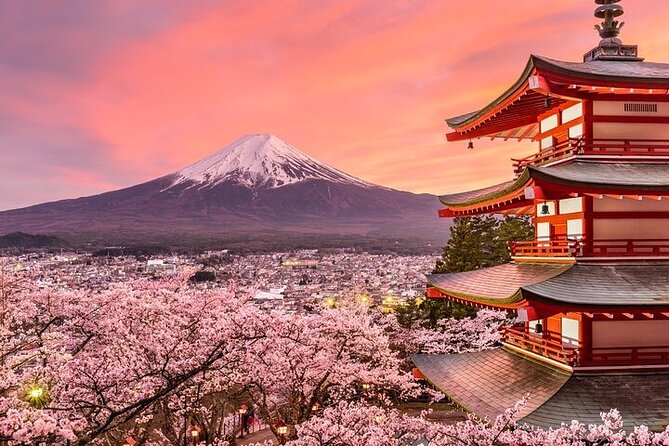 Mount Fuji and Hakone Private Tour by Car with Pickup from Tokyo - Private Tokyo pickup and a flexible day plan