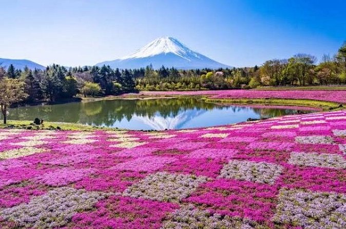 Mount Fuji and Hakone Private Tour by Car with Pickup from Tokyo - Hakone Shrine optional stop: torii at the forest edge