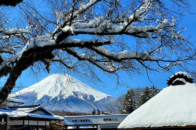 Mount Fuji and Hakone Private Tour from Tokyo (Customizable) - Key Points To Know Before You Go
