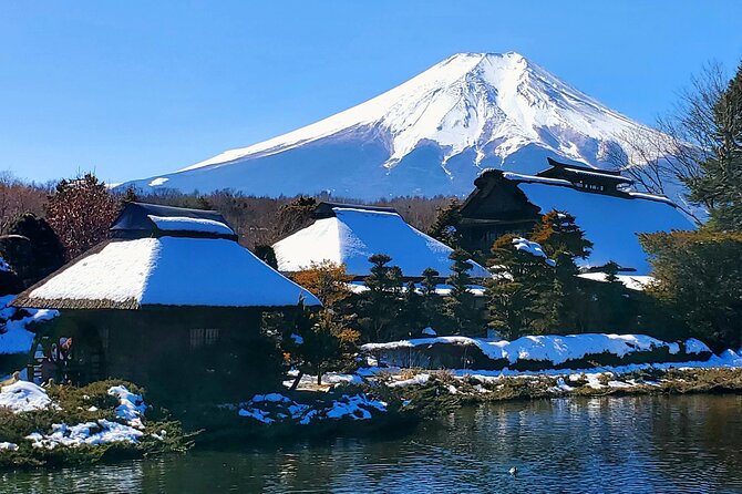 Mount Fuji and Hakone Private Tour from Tokyo (Customizable) - Why This Private Mt Fuji and Hakone Day Trip Works From Tokyo