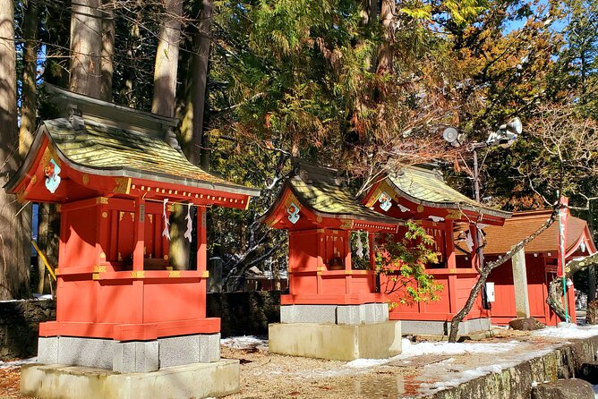 Mount Fuji and Hakone Private Tour from Tokyo (Customizable) - Chureito Pagoda Photo Time and Fuji Sengen Jinja Shrine (Both Free)