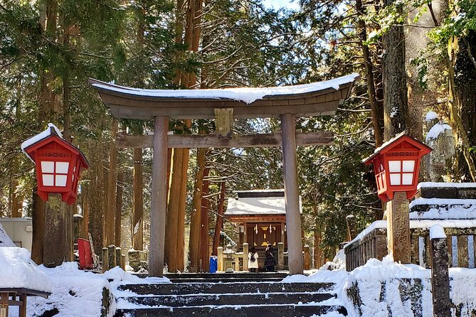 Mount Fuji and Hakone Private Tour from Tokyo (Customizable) - Oshino Hakkai: Where Clear Springs and Village Vibes Do the Work