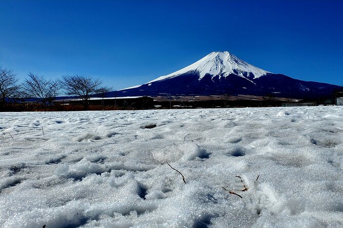 Mount Fuji and Hakone Private Tour from Tokyo (Customizable) - Hakone Ropeway and Owakudani: Geothermal Reality, Plus Paid Costs