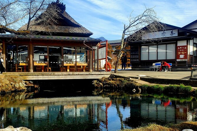 Mount Fuji and Hakone Private Tour from Tokyo (Customizable) - Lake Ashinoko Views, Cruise Option, and Photo Timing