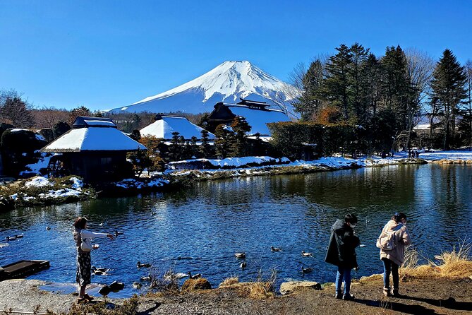 Mount Fuji and Hakone Private Tour from Tokyo (Customizable) - Price and Value: $448 Per Group Makes Sense If You Fill the Car