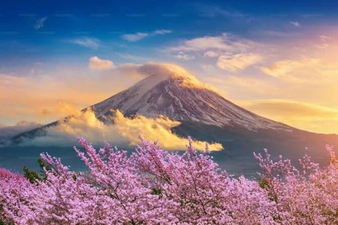 Mount Fuji and Hakone Private Tour with Pickup from Tokyo - Lake Kawaguchiko: your big Fuji viewing base with cruise and ropeway options
