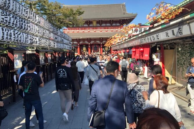 Mount Fuji and Hakone Private Tour with Pickup from Tokyo - Price and fees: where the real value sits