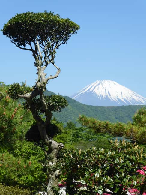 Mount Fuji: Customizable Private Tour By Car With Pickup - Lake Kawaguchi and Oshino Hakkai, lakeside views and Fuji water