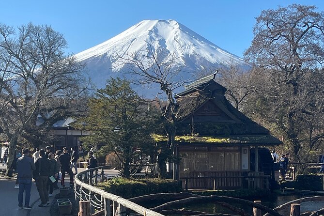 Mount Fuji Full Day Customize Private Tour with English Guide - How the day trip timing works from Tokyo