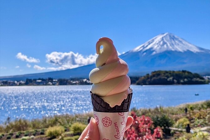 Mount Fuji Full Day Customize Private Tour with English Guide - What you actually get: English driver, private logistics, and costs