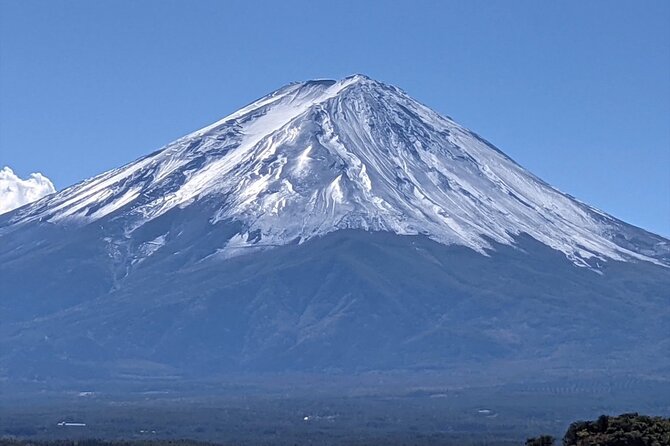 Mount Fuji Full Day Customize Private Tour with English Guide - FAQ