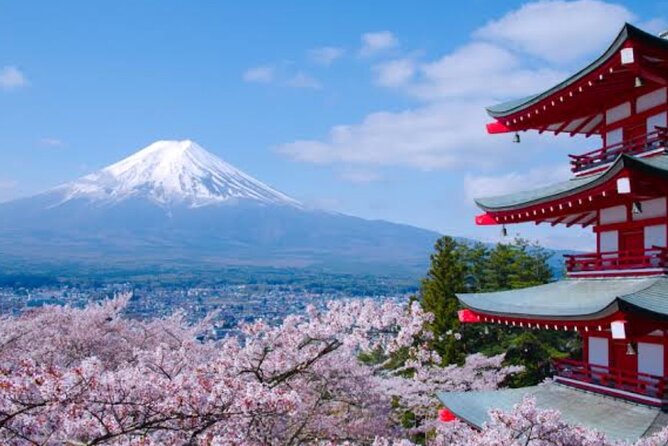 Mount Fuji Full Day Customize Private Tour with English Guide - Lake Kawaguchiko, Oshino Hakkai, and Oishi Park