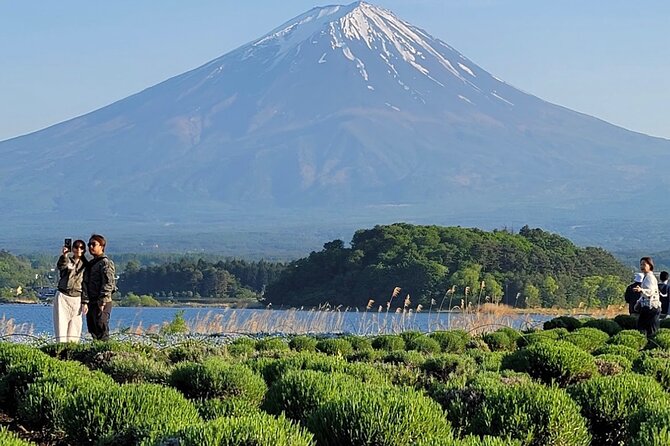Mount Fuji Full Day Customized Private Tour with English Guide - Lake Kawaguchiko and Arakurayama Sengen Park, including Chureito Pagoda
