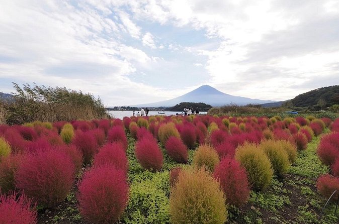 Mount Fuji Full Day Customized Private Tour with English Guide - Hakone add-ons: choosing volcanic valley, outdoor museum, and Lake Ashinoko