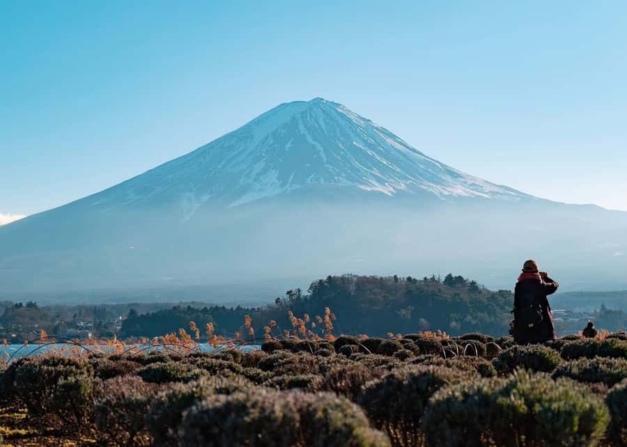 Mount Fuji Full-Day Private Sightseeing Tour with Guide - Key things I’d pay attention to