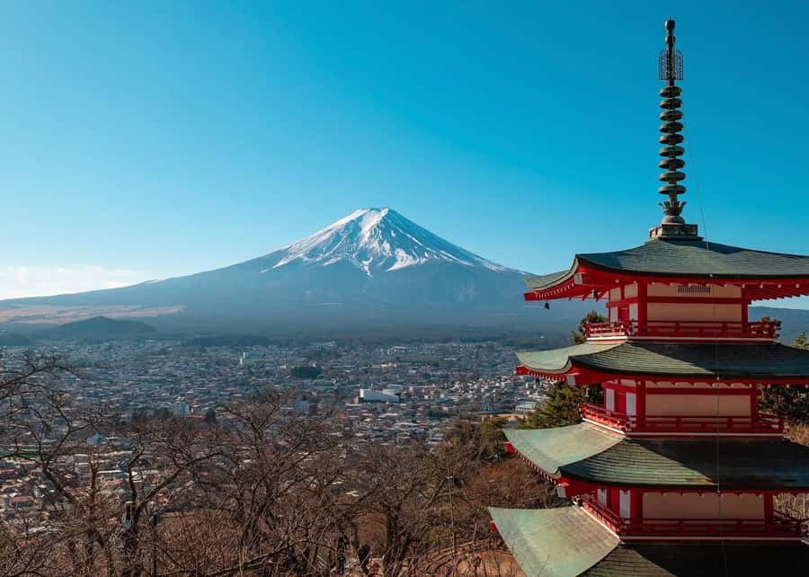 Mount Fuji Full-Day Private Sightseeing Tour with Guide - The Fuji viewpoint strategy: when you aim for the 5th Station