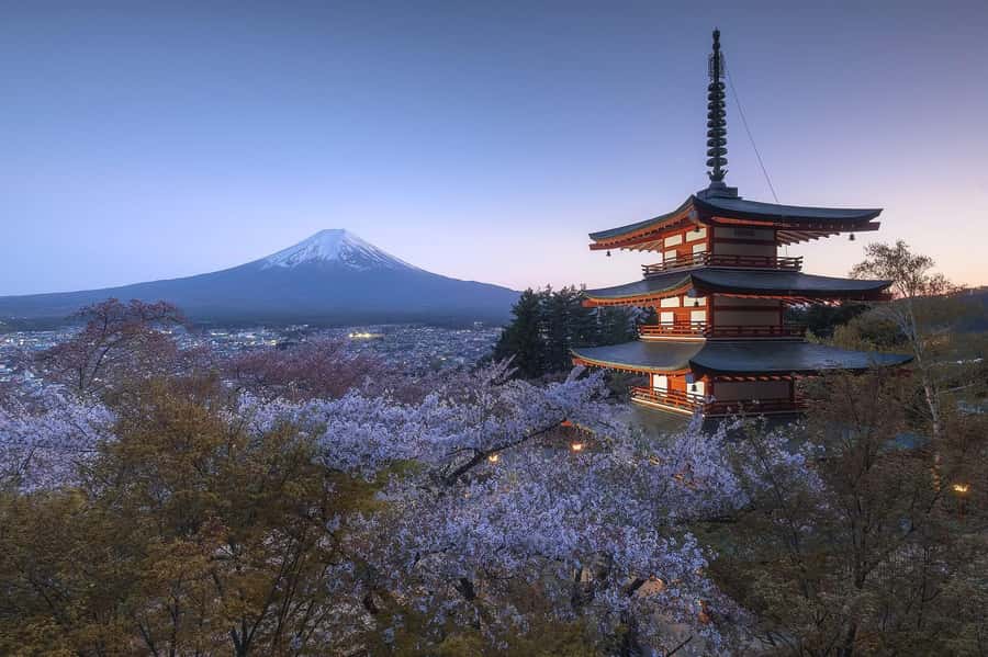 Mount Fuji Full-Day Private Sightseeing Tour with Guide - Lake Kawaguchi: the easiest way to feel like you’re inside the postcard