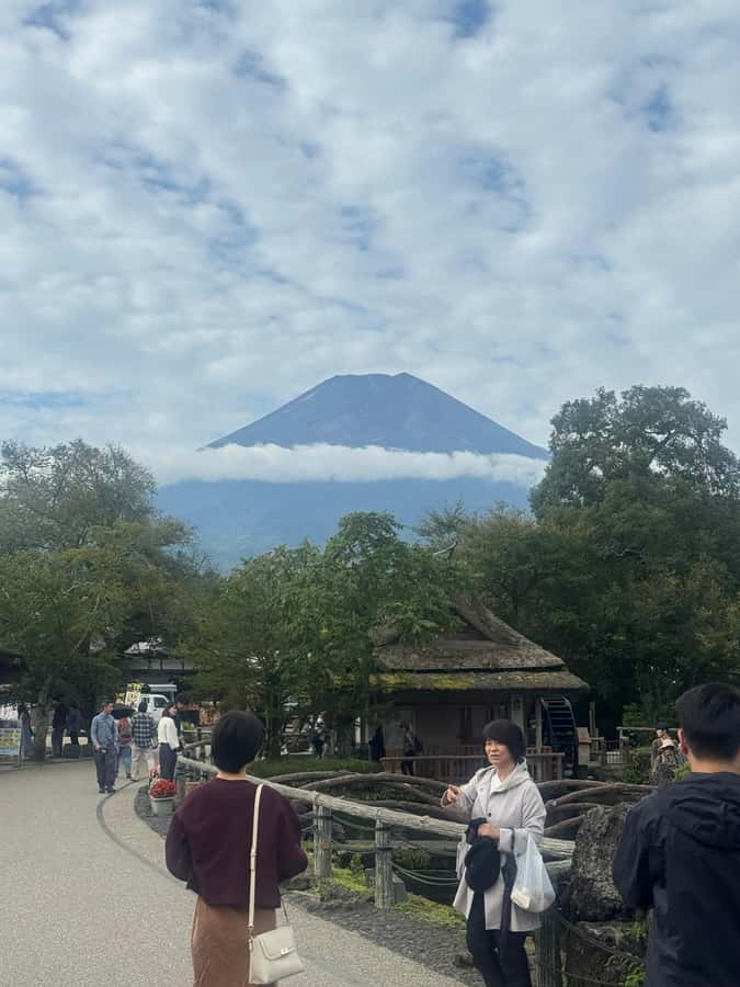 Mount Fuji Full-Day Private Sightseeing Tour with Guide - Price and value: what $403 per group really buys