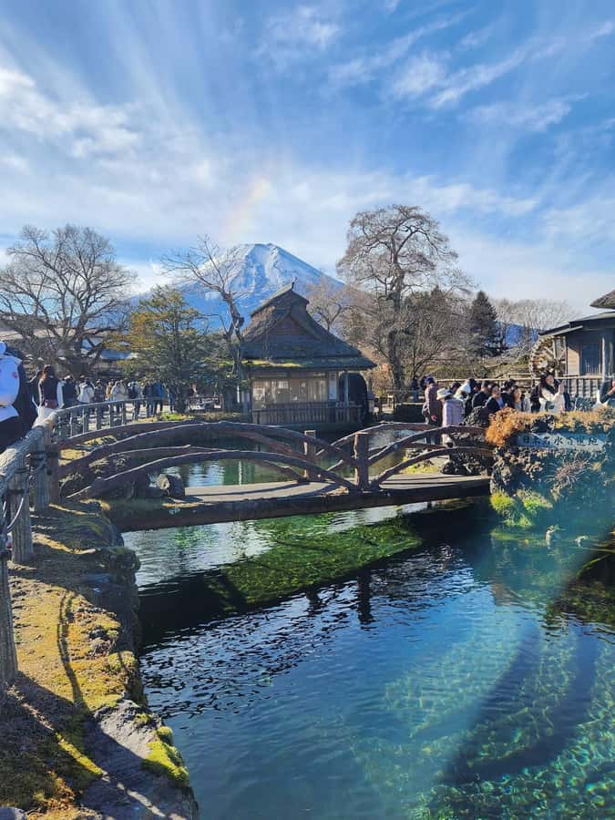 Mount Fuji Full-Day Private Sightseeing Tour with Guide - Pickup, travel comfort, and how the day starts right