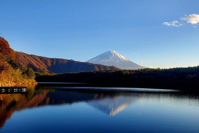Mount Fuji Full-Day Private Tour from Shimizu Port (Customizable) - A Fuji day that actually fits a cruise schedule