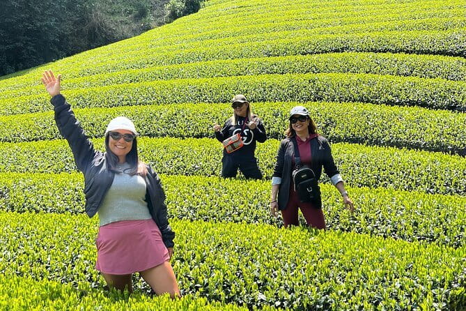Mount Fuji Full-Day Private Tour from Shimizu Port (Customizable) - Oishi Park: flowers plus ice cream and easy Fuji sightlines