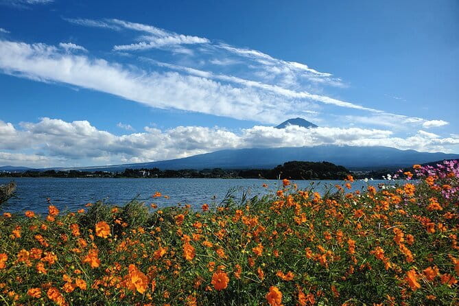Mount Fuji Full-Day Private Tour from Shimizu Port (Customizable) - Price and group size: where this tour earns its $800