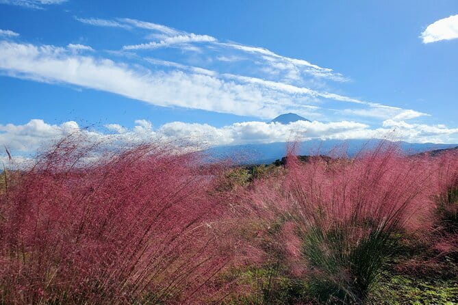 Mount Fuji Full-Day Private Tour from Shimizu Port (Customizable) - Chureito Pagoda: the fast path to the classic Fuji shot