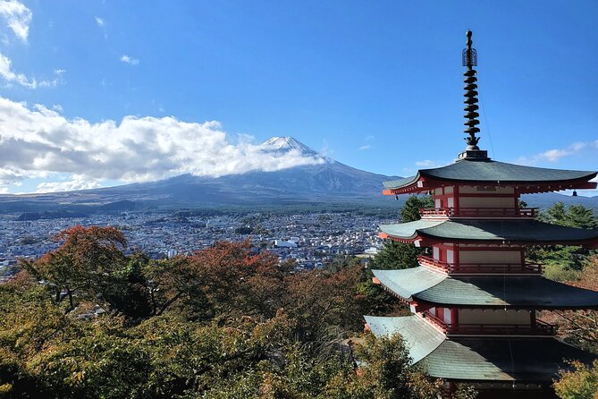 Mount Fuji Full-Day Private Tour from Tokyo (Customizable) - A Private Fuji Day Means You Set the Tempo