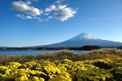 Mount Fuji Full-Day Private Tour from Tokyo (Customizable)