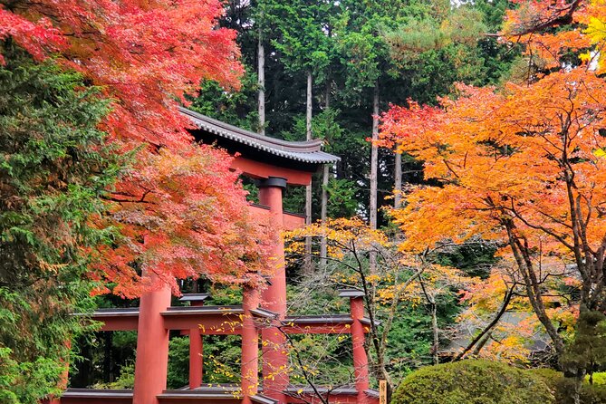 Mount Fuji Full-Day Private Tour from Tokyo (Customizable) - Should you book this Mount Fuji private day trip?