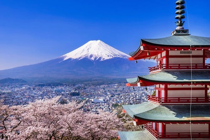 Mount Fuji Full Day Sightseeing Tour from Tokyo - Key highlights worth your attention