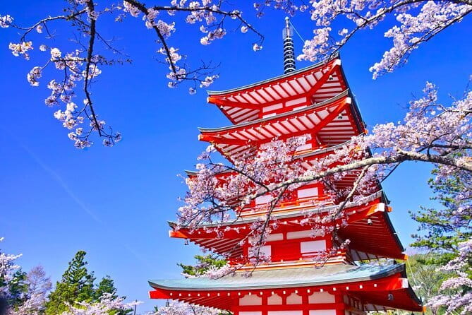 Mount Fuji Full Day Sightseeing Tour from Tokyo - Why This Full Day From Tokyo Works So Well