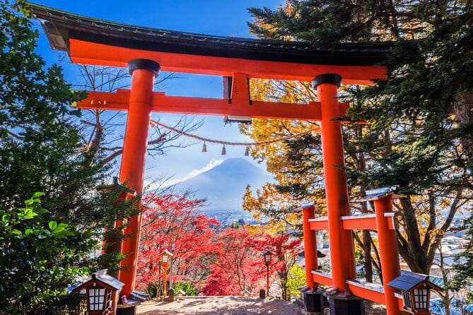 Mount Fuji Full Day Sightseeing Tour from Tokyo - Price and What Your $66 Covers