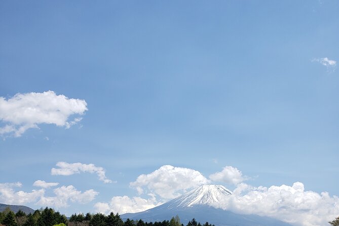 Mount Fuji, Hakone & Lakekawaguchiko Private Group Tour by Car. - What you really pay for: value vs. hidden costs