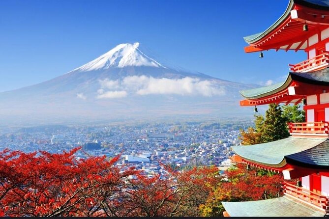 Mount Fuji & Lake Kawaguchi Day Trip with English-speaking Driver - Saiko Iyashi no Sato Nenba, The Traditional Village Break You’ll Actually Enjoy