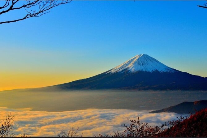 Mount Fuji & Lake Kawaguchi Day Trip with English-speaking Driver - Lake Yamanaka and Chureito Pagoda, Classic Views With Breathing Room