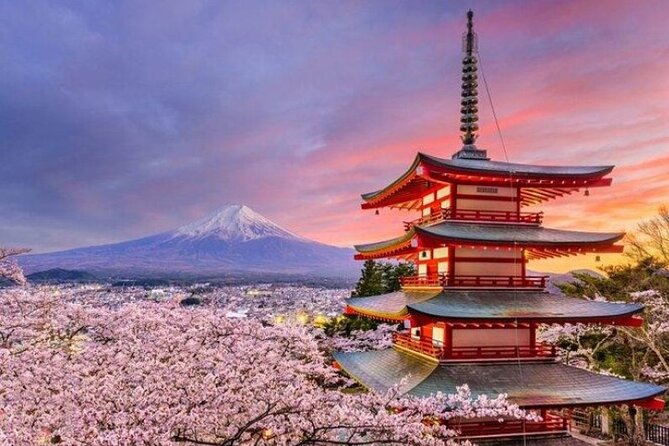 Mount Fuji (Mt. fuji) private tour by car with pickup from Tokyo - How the Price Works for Up to 3 People