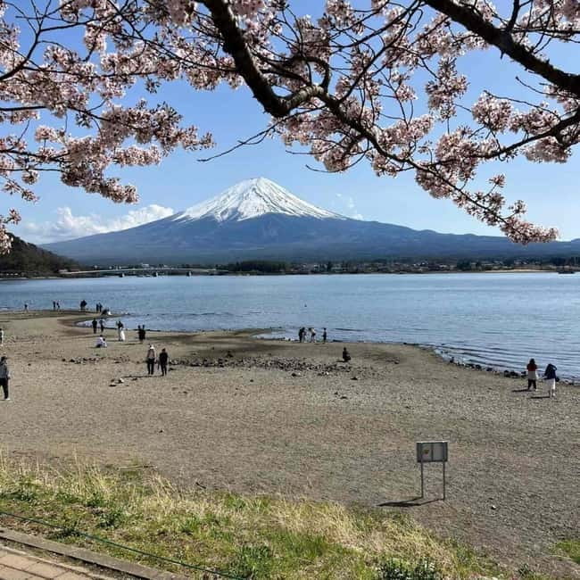 Mount Fuji Private day tour from Tokyo private & Customized - Why this private Mt. Fuji day feels easier than going it alone