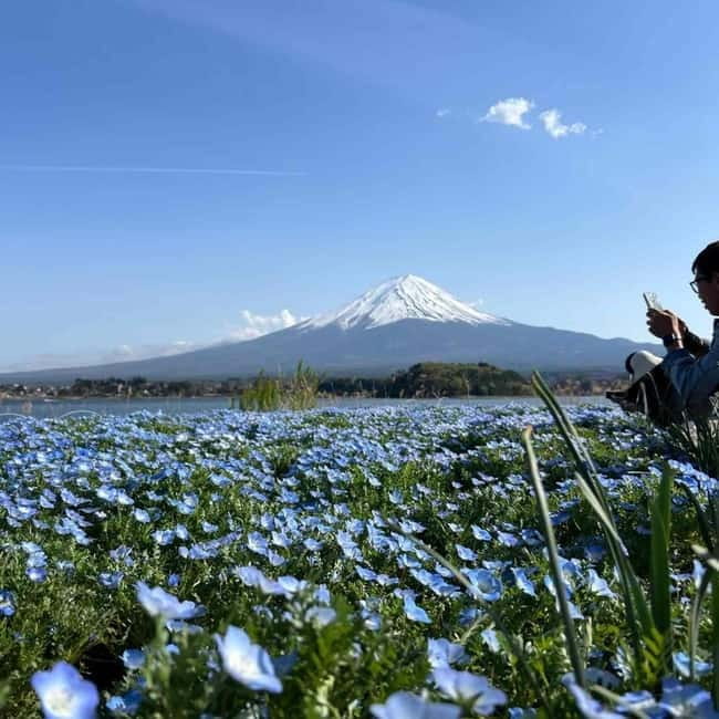 Mount Fuji Private day tour from Tokyo private & Customized - The comfort upgrade that actually changes your day: Toyota Vellfire, Wi-Fi, and drinks