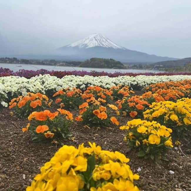 Mount Fuji Private day tour from Tokyo private & Customized - How the custom schedule works in real life