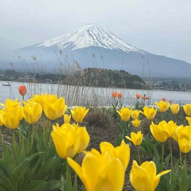 Mount Fuji Private day tour from Tokyo private & Customized - Oshino Hakkai: traditional ponds and the Fuji water story