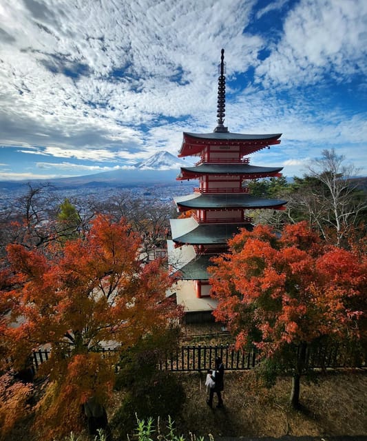 Mount Fuji Private day tour from Tokyo private & Customized - Door-to-door pickup in Tokyo, and why the meeting point matters