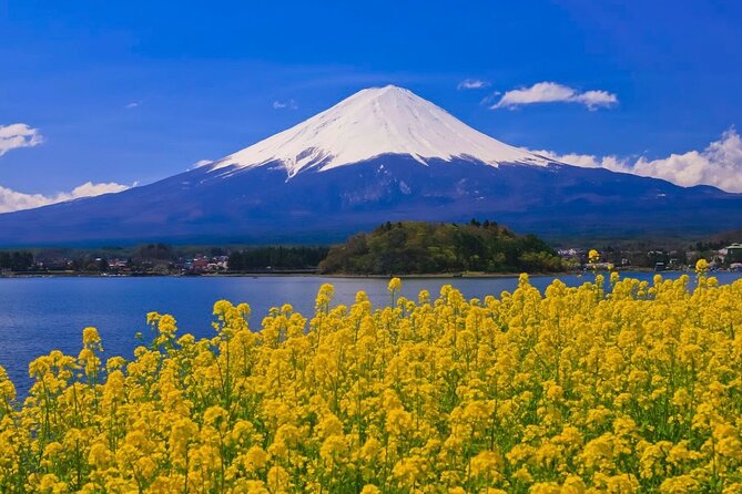Mount fuji Private Tour - Stop 1: Lake Kawaguchiko for a classic Fuji-lake break