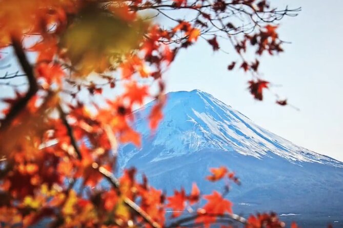 Mount fuji Private Tour - What is included, what is not, and how to budget without stress
