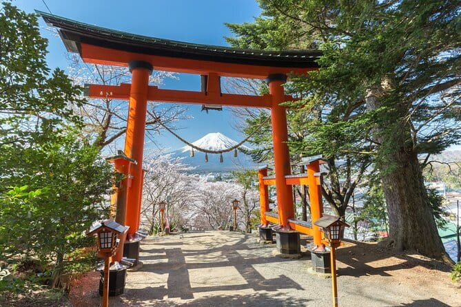 Mount Fuji Sightseeing Private tour w English speaking chauffeur - Why go private for Mount Fuji from Tokyo?