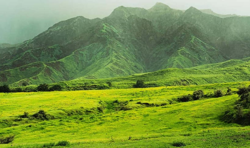 Mt. Aso & Takachiho Gorge Tour with Optional Boat Ride - Should you book the Mt. Aso and Takachiho Gorge tour with boat?