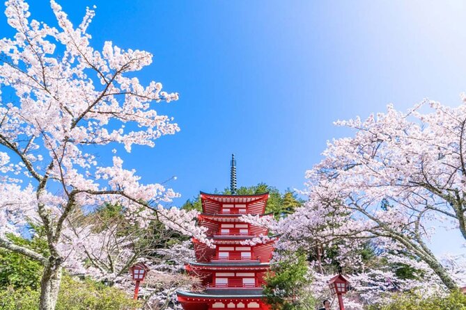 Mt. Fuji 5th, Oshino Hakkai, Onsen Full-Day Trip From Tokyo - Price and value: what $56.14 really covers