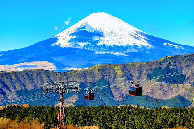 Mt Fuji and Hakone 1-Day Bus Tour Return by Bus - Lake Ashi Cruise: The Calm Break in a Fast Schedule